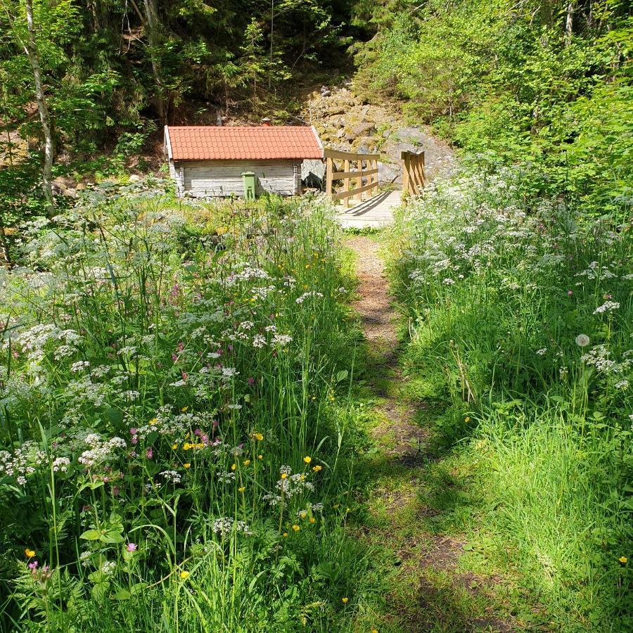 Cabin Near Lake And Beautiful Nature Reserve. Bodafors Exterior photo